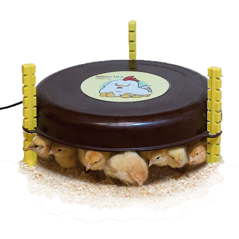 CALEFACTOR POLLITOS NANNY HEN 18W