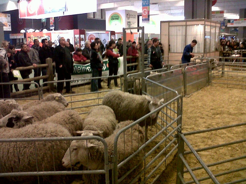 Manga ovino L=4M. Incluye un arco B393. El resto B392. GEC