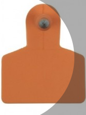 ALLFLEX MACHO MEDIANO SIN NUMERAR