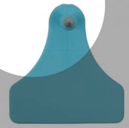 ALLFLEX MACHO JUNIOR SIN NUMERAR