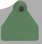 ALLFLEX MACHO OVINO SIN NUMERAR