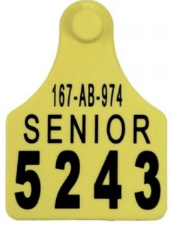 ALLFLEX HEMBRA SENIOR SIN NUMERAR