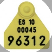 ALLFLEX HEMBRA OVINO SIN NUMERAR