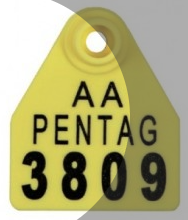 ALLFLEX HEMBRA PENTAG SIN NUMERAR