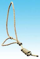 CABEZADA-RAMAL EN SPLAITEX Ø 12 MM - 2,5 M.