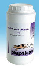 DESINFECTANTE CONCENTRADO 1 KG.  PARA PEDILUVIO