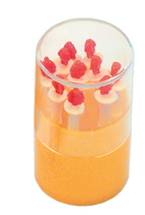 CANULAS MAMARIAS BOTE 10 UNID. 5 CM.