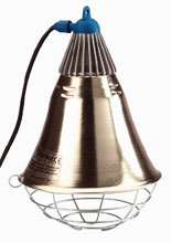 PROYECTOR INTERHEAT 220V CON 5M. DE CABLE (P/BOMBILLA)