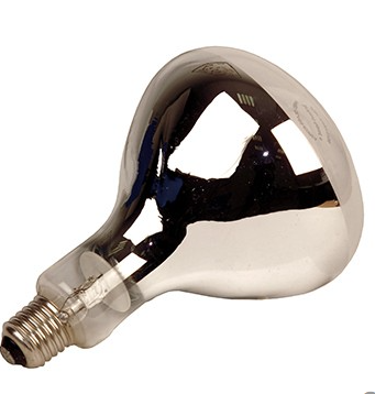 BOMBILLA BLANCA 250 W